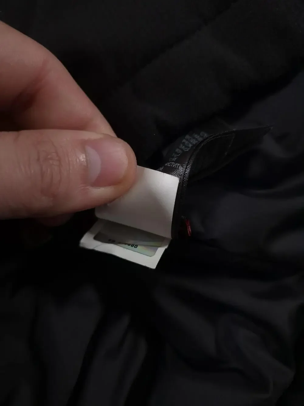 The North Face north face
